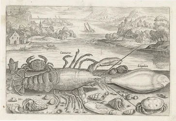 En fisk og noen krepsdyr på stranden Fiske (serietittel) Piscivm vivae-ikoner (serietittel)