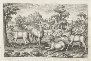 hjort Firebeinte dyr (serietittel) Animalivm Qvaddrvpedvm (serietittel)