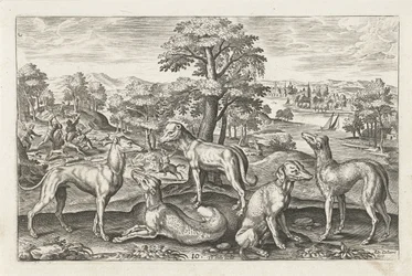 jakthunder Firebeinte dyr (serietittel) Animalivm Qvaddrvpedvm (serietittel)