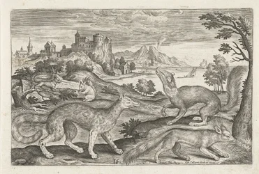 Mår, ekorn og en rev Firebeinte dyr (serietittel) Animalivm Qvaddrvpedvm (serietittel)