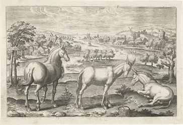 Hest og esler Firebeinte dyr (serietittel) Animalivm Qvaddrvpedvm (serietittel)