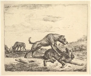 Kamphunder, fra forskjellige dyr, 1657.