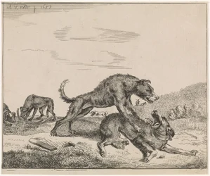 kamphunder Husdyr (serietittel)