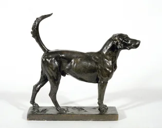 The Hound 'Pytchley Forager'