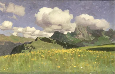En mark med ringblomster, De nedre Alpene, 1902