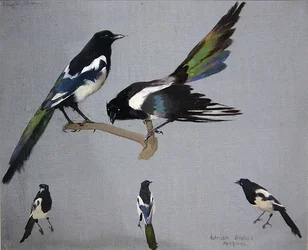 Magpies (olje på lerret)