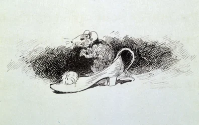 Cinderella - in “The fairy tales” by Charles Perrault, illustrations by Adrien Marie