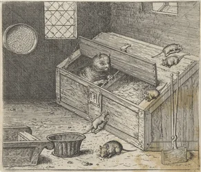 Fabel om den gamle katten og musene