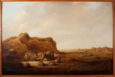 Landskap med kaniner Maleri av Albert (Aelbert eller Aelbrecht) Cuyp (1620-1691) 1641-1642 Dim.44x67 cm Genes, Musei di Strada Nuova (tidligere Palazzo Rosso)