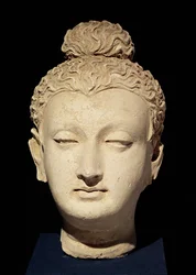 Hode av en Buddha, gresk-buddhistisk stil, fra Hadda (stukk)