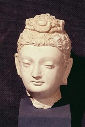 Hode for en Buddha, gresk-buddhistisk stil, fra Hadda (stukk)