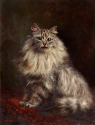 Persisk katt, ca. 1908-20