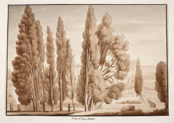 Villa d