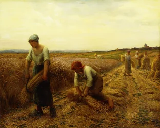 Høsterne,