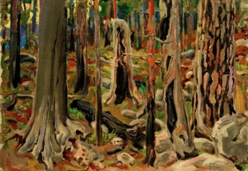 Den nedbrente skogen