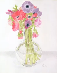Anemonies, 1982 (farget blyant på papir)