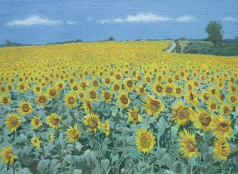 Solsikkemark, 2002