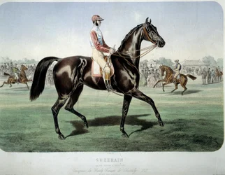 Racing: "" Suzerain, vinner av Chantilly-derbyet i 1868"" Litografi av Albert Adam (1833-?) Privat samling