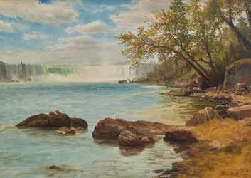 Niagarafallene med Terrapin-tårnet, ca. 1869 (olje på papir)