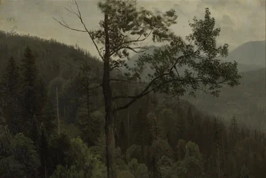 Tredekte fjell