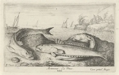 Tre flekkete tisser på stranden Araneus. LaVie. (tittel på objekt) Fisk og andre sjødyr - saltvanns andre serie (serietittel) Poissons de mer (serietittel)