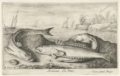 Tre flekkete på stranden Araneus. LaVie. (tittel på objekt) Fisk og andre sjødyr - saltvanns andre serie (serietittel) Poissons de mer (serietittel)
