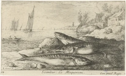 Tre makreller på stranden Scomber. Le Maquereau. (tittel på objekt) Fisk og andre sjødyr - saltvanns første serie (serietittel) Diverse Especes de Poissons de mer (serietittel)