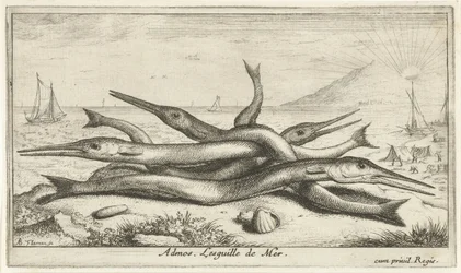 Festet på stranden Admos. Lesguille de Mer. (tittel på objekt) Fisk og andre sjødyr - saltvann tredje serie (serietittel) Poissons de mer (serietittel)