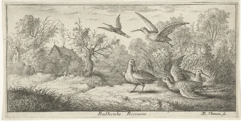 Landskap med rugder; Rusticula. Becasse. (tittel på objektet); Fuglebok (serietittel); Livre d