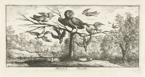 Landskap med perleugle blant andre fugler Monedula Chouette. (tittel på objekt) Fuglebok (serietittel) Livre d
