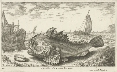 Poon på stranden Cuculus. Le Coccu de mer (tittel på objekt) Fisk og andre sjødyr - saltvanns første serie (serietittel) Diverse Especes de Poissons de mer (serietittel)