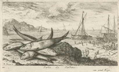 Sardiner på stranden Sarda, La Sardine. (tittel på objekt) Fisk og andre sjødyr - saltvanns første serie (serietittel) Diverse Especes de Poissons de mer (serietittel)