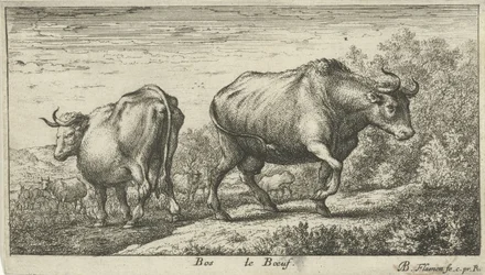 okser Bos le Boeuf (tittel på objekt) Ulike dyrearter (serietittel)