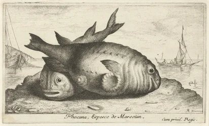 To niser på stranden Phocana, Espesce de Marsoüin, (tittel på objekt) Fisk og andre sjødyr - saltvann tredje serie (serietittel) Poissons de mer (serietittel)