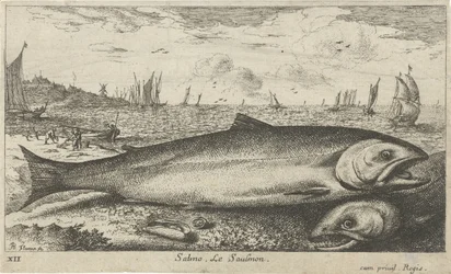 To laks på stranden Salmo. Le Saulmon (tittel på objekt) Fisk og andre sjødyr - saltvanns første serie (serietittel) Diverse Especes de Poissons de mer (serietittel)