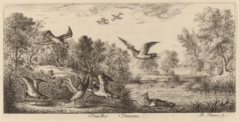 Vanellus, lappvingen