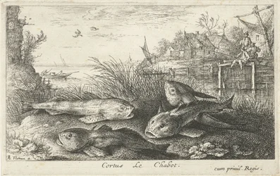 Fire chubs på en elvebredd Cortus LeChabot. (tittel på objekt) Fisk og andre sjødyr - ferskvanns andre serie (serietittel) Seconde partie de Poissons d