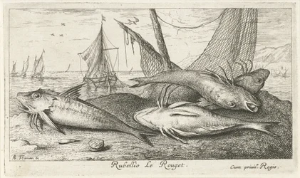 Fire røde multer på stranden Rubellio Le Rouget. (tittel på objekt) Fisk og andre sjødyr - saltvanns andre serie (serietittel) Poissons de mer (serietittel)