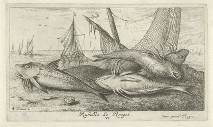 Fire røde multer på stranden Rubellio Le Rouget. (tittel på objekt) Fisk og andre sjødyr - saltvanns andre serie (serietittel) Poissons de mer (serietittel)
