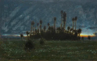 Ildfluer, Jamaica (akvarell med kroppsfarge)