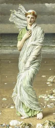 Sjøskjell, 1875
