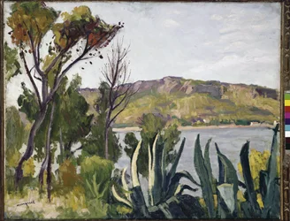 Landskap med agave. (olje på lerret