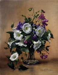 Convolvulus og søte erter i glassvase (olje på lerret)
