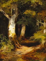 Skogsvei