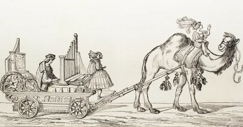 Organisten Paul Hoffaner spiller i en vogn trukket av en kamel, ca. 1880 (gravering)