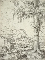 Den store gran, ca.1520