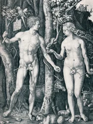 Adam og Eva, 1504 1906