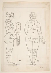 Illustrasjon fra Dürers fire bøker om menneskelig proporsjon, Nürnberg, 1528.n.d.