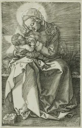 Madonna sykepleie