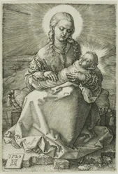 Madonna med det svøpte spedbarnet